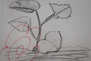 0709(3)