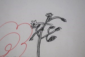 0709(5)