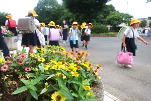 0719(19)