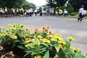 0719(20) 0719(20)