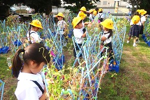 0906(2) 0906(2)
