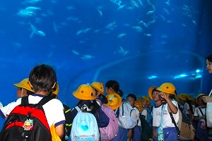 0927(19) 0927(19)