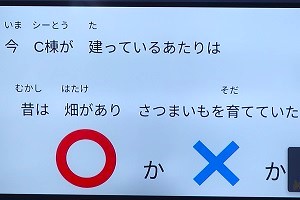 1019(3)