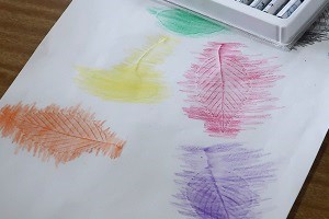 1028(6) 1028(6)
