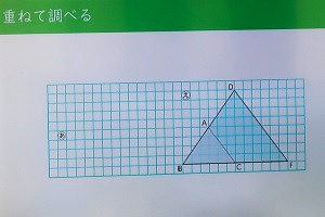 1031(5)