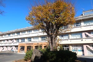 1129(13)