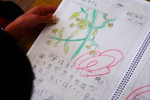 1219(2) 1219(2)