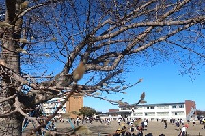 0108(16) 0108(16)