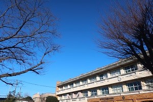 0117(8) 0117(8)