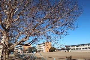0131(14) 0131(14)