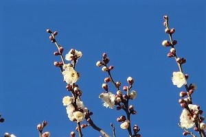 0207(13) 0207(13)