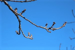 0214(14) 0214(14)