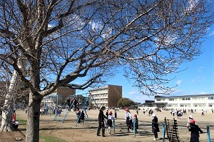 0214(17)