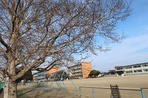 0228(11)
