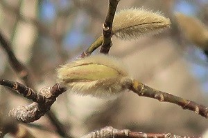 0228(12) 0228(12)