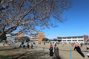 0307(9)