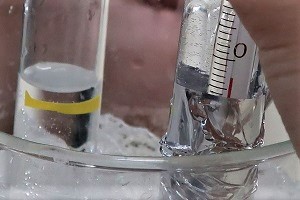 0311(7)