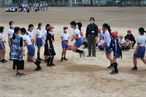 0313(11)