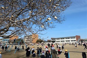 0314(10) 0314(10)