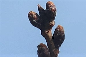 0314(12) 0314(12)