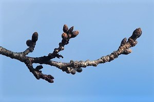 0317(16) 0317(16)