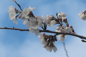 0331(2) 0331(2)
