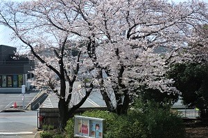 0407(14) 0407(14)