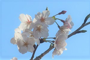 0408(1)