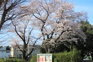 0408(18) 0408(18)