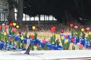 0409(1)