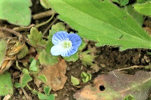 0418(8) 0418(8)