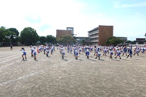 0515(6) 0515(6)