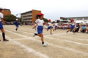 0524(8) 0524(8)