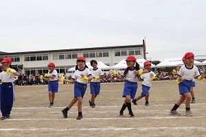 0524(12) 0524(12)