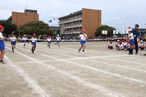 0524(16) 0524(16)