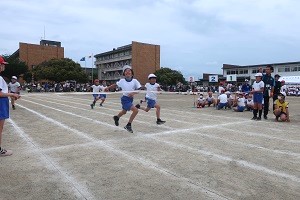 0524(17)