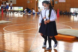 0529(10) 0529(10)