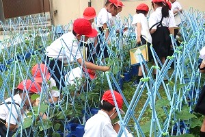 0604(12) 0604(12)