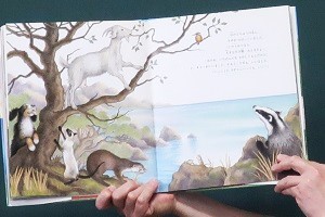0606(6) 0606(6)