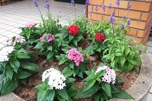 0609(4) 0609(4)