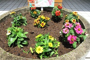 0609(5)