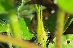 0619(8) 0619(8)