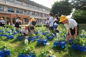 0619(10) 0619(10)