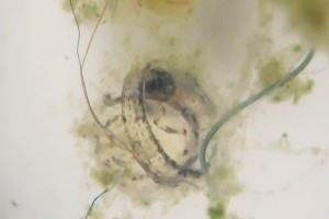 0623(7) 0623(7)