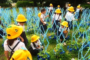 0627(2) 0627(2)