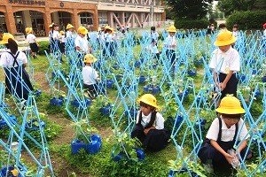 0627(10) 0627(10)