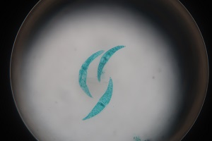 0703(9)