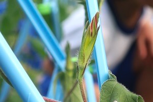 0708(7) 0708(7)