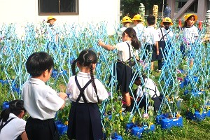 0708(9)