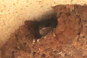 0709(4) 0709(4)